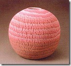 Vaso05
