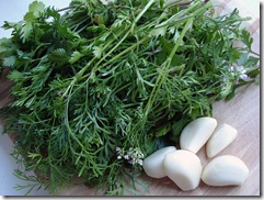 3434756077_8f6d724ce7