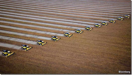 Colhedeiras no Nordeste brasileiro
