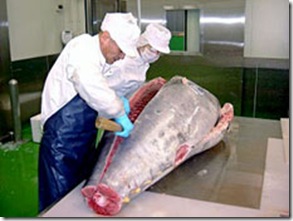 Empresas de alimentos marinhos estão oferecendo produtos semipreparados