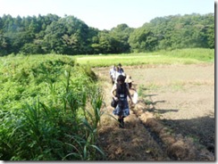 Caminhada em pântano em Yatsu, província de Chiba