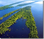 amazonia1