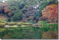autumn colours japan