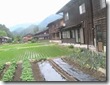 rice_02