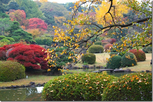 Jardim Botânico de Koishikawa - foto de Kit Nagamura