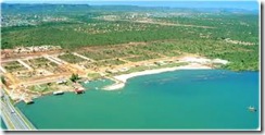 palmas
