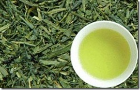 06_MHG_ciencia_chaverde