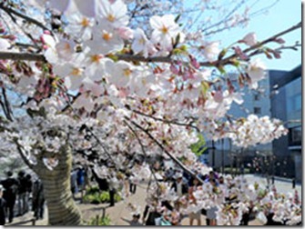 Nni20110406D06JF130099854