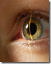 biometria-iris
