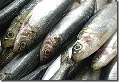sardinha