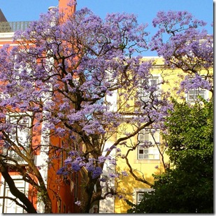 Lisboa 1