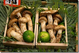 kyoto-toriichi-shinise-matsutake-6