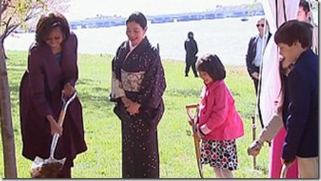 MichelleObamaplantscommemorativecherrytree