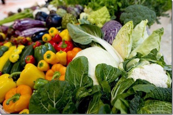 photo_1332958185275-1-0