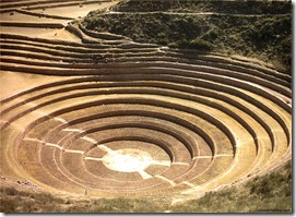 moray
