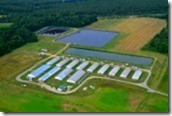 14444801-air-view-of-modern-hog-farm-and-lagoons