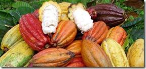 02_historia_do_chocolate_no_brasil_02