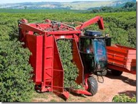 cafeicultores-contam-com-recursos-para-aquisicao-de-tratores-e-implementos-agricolas