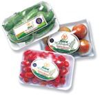 korin_organicos