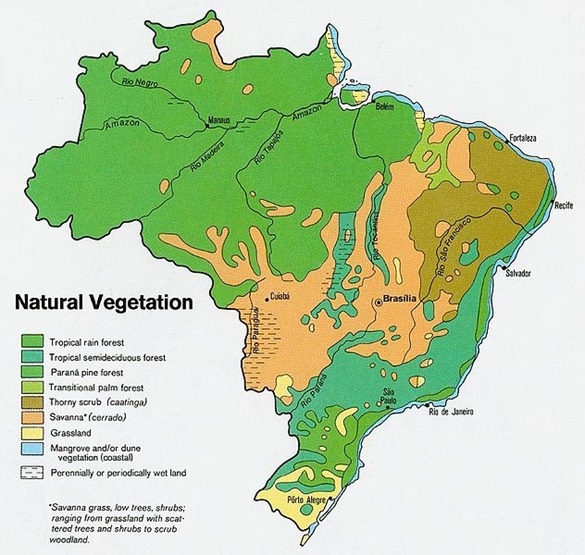 632px-Brazil_veg_1977