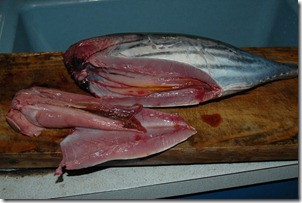 katsuo05