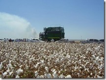 dia-de-campo-na-fazenda-nova-fronteira-pioneira-na-producao-de-algodao-no-cerrado-piauiense-77121