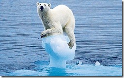 Climate-Change-Polar-Bear