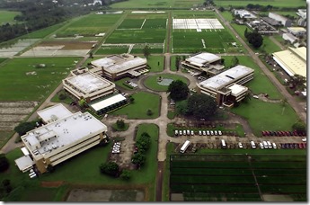 irri_028