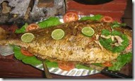 tambaqui