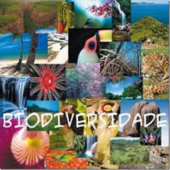 clip_image002 clip_image002