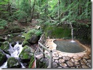clip_image002