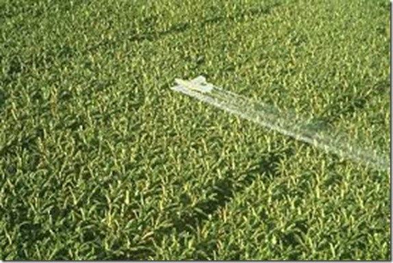 clip_image002 clip_image002