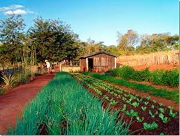 clip_image004 clip_image004