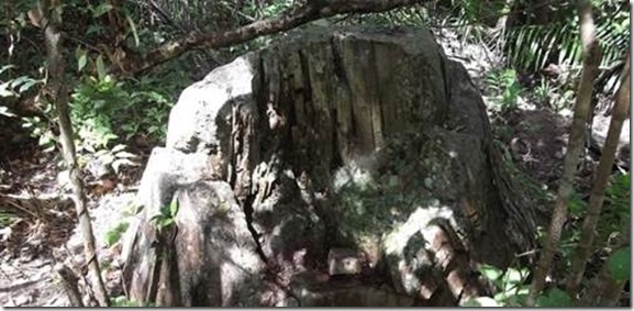 clip_image007