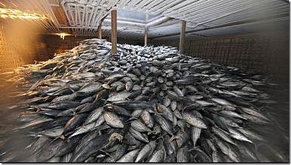 clip_image004 clip_image004