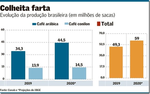 Produção de café conilon aumenta na safra 2018/2019