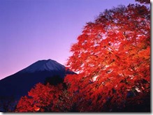 clip_image002